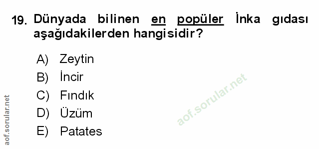 Soru 19
