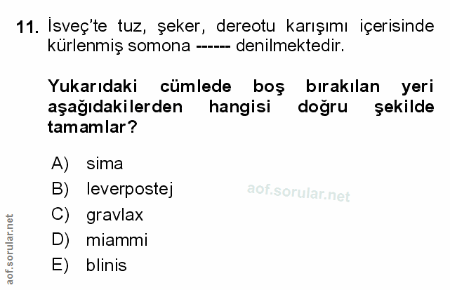 Soru 11