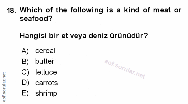 Soru 18