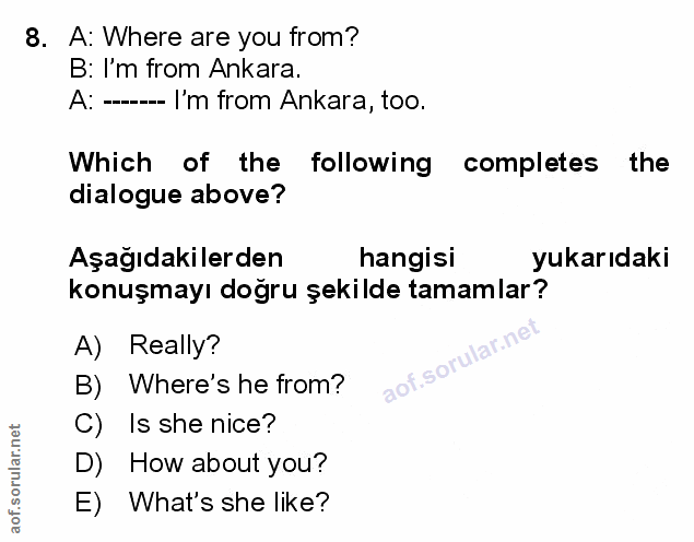 Soru 8