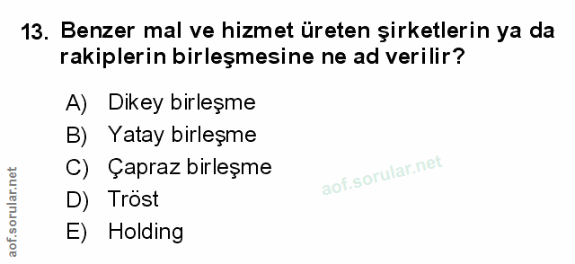 Soru 13