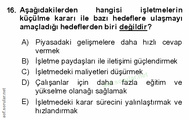 Soru 16