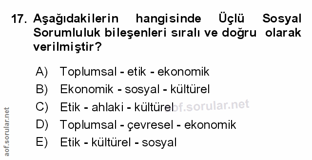 Soru 17