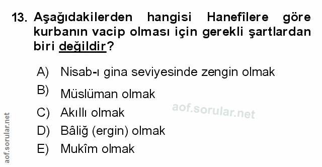 Soru 13