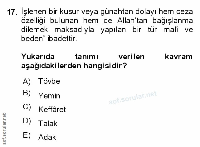 Soru 17