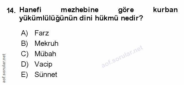 Soru 14