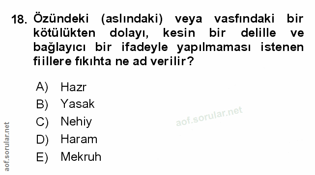 Soru 18