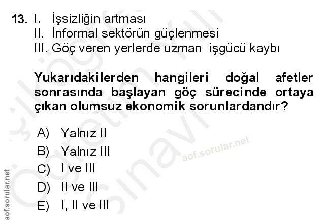 Soru 13