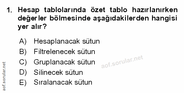 Soru 1