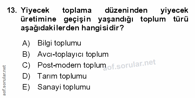Soru 13