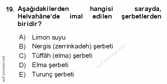 Soru 19