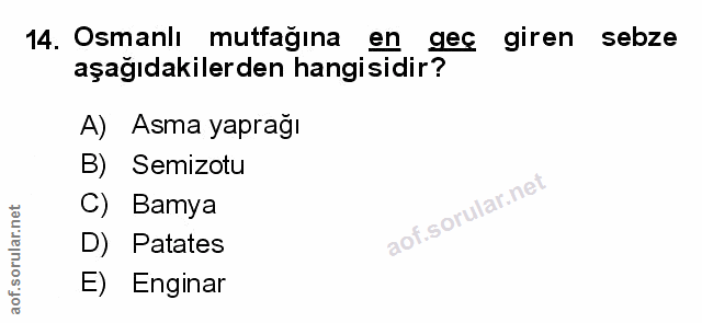 Soru 14