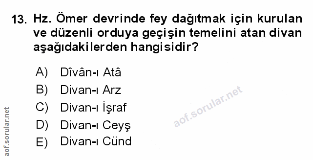 Soru 13
