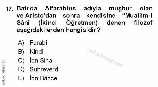 Soru 17