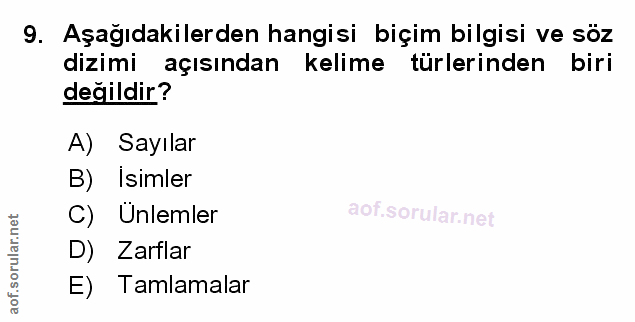 Soru 9