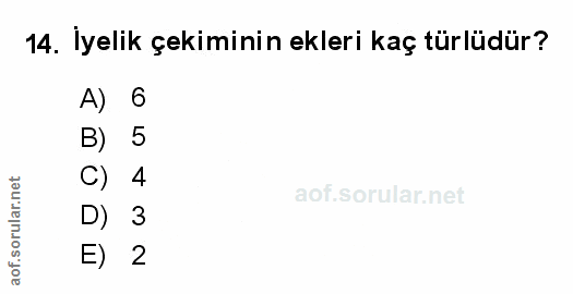 Soru 14