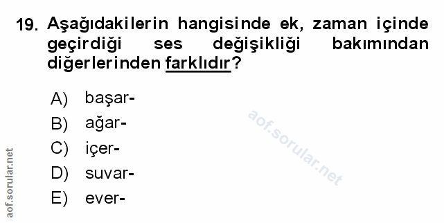 Soru 19