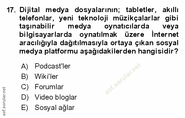 Soru 17