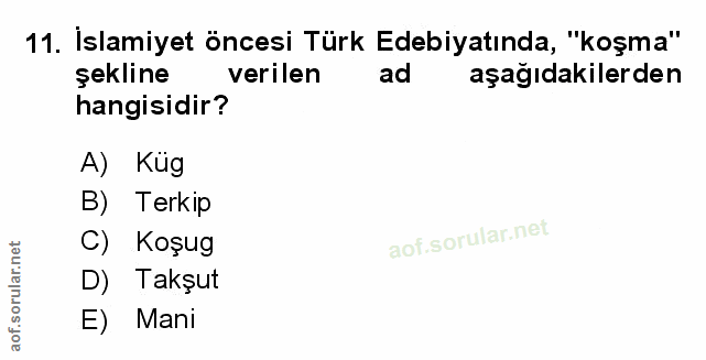 Soru 11