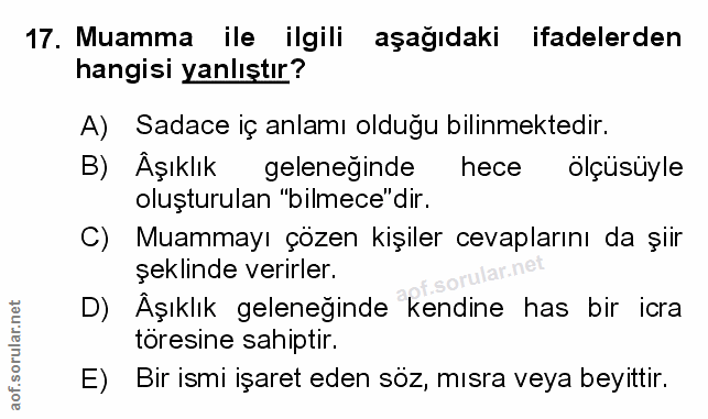 Soru 17