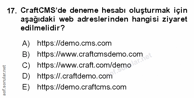 Soru 17