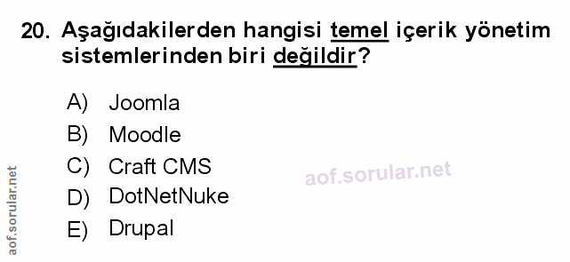 Soru 20