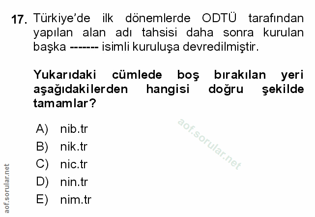 Soru 17
