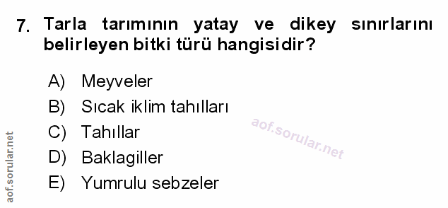 Soru 7