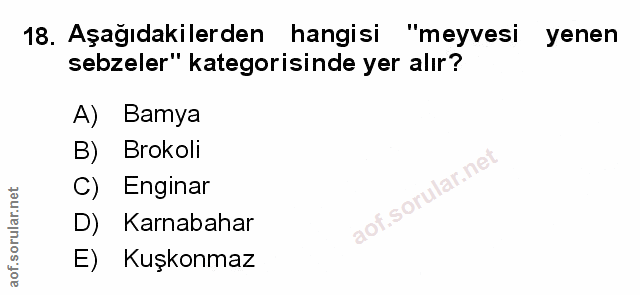Soru 18