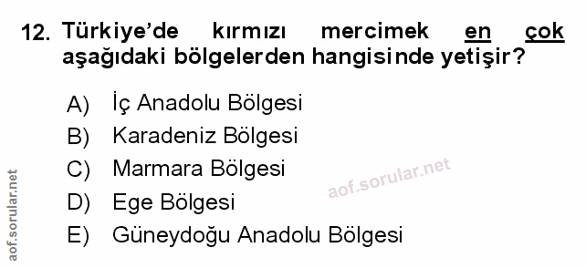 Soru 12