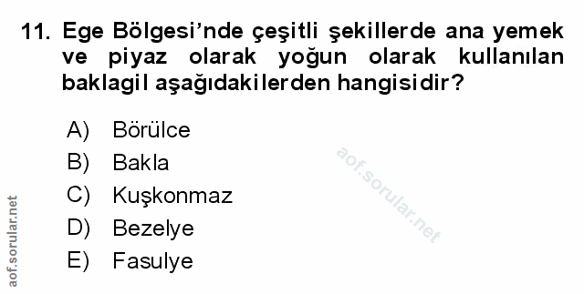 Soru 11