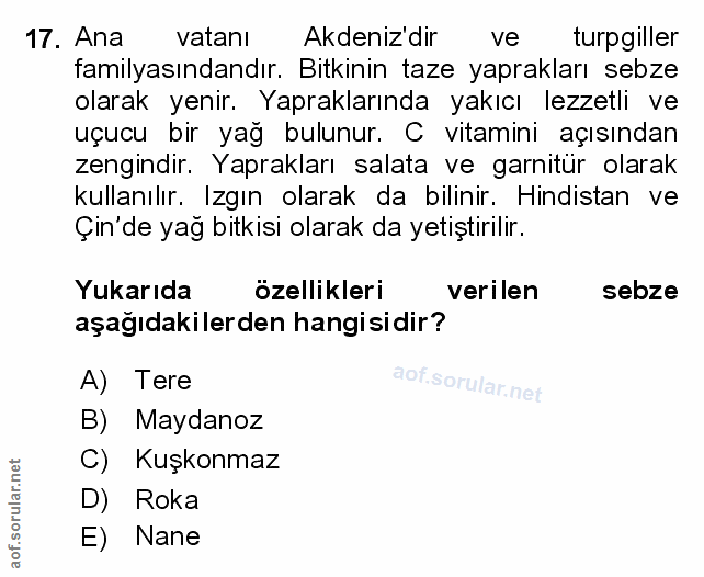 Soru 17
