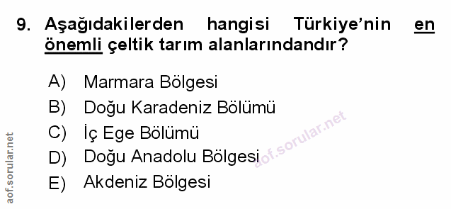 Soru 9