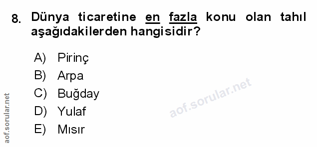 Soru 8