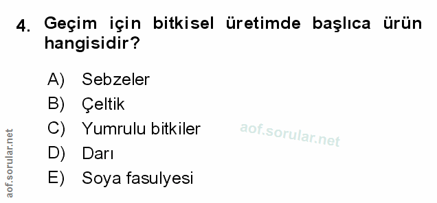 Soru 4