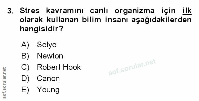 Soru 3