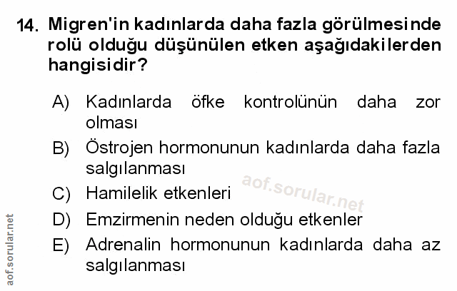 Soru 14