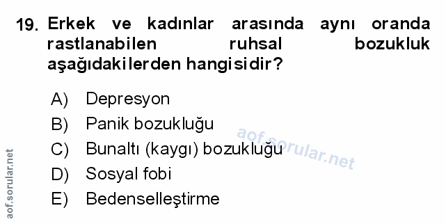 Soru 19