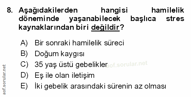 Soru 8