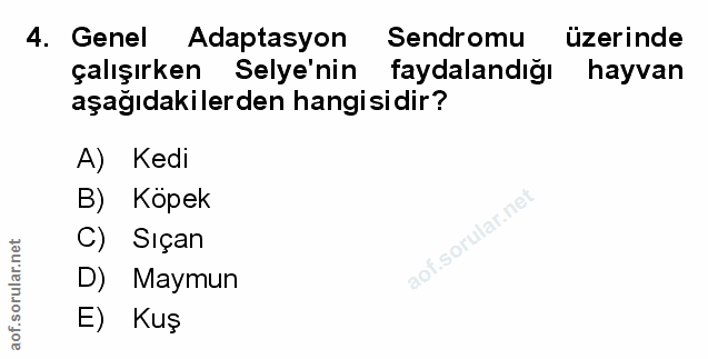 Soru 4