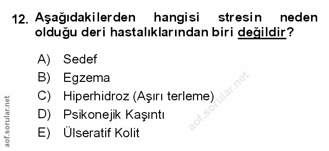Soru 12