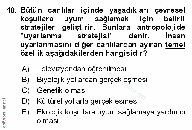 Soru 10
