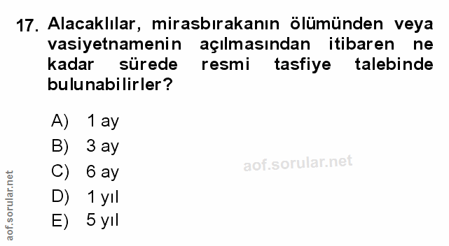 Soru 17