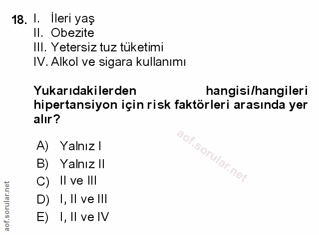 Soru 18