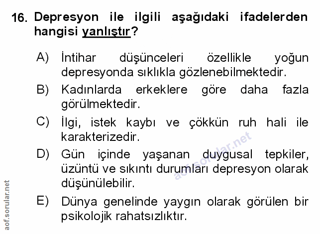 Soru 16