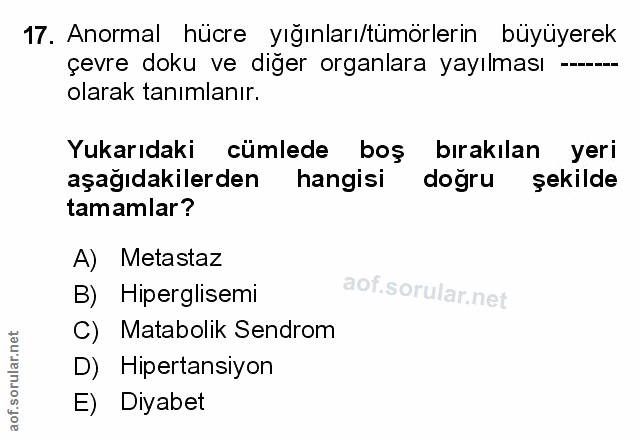 Soru 17