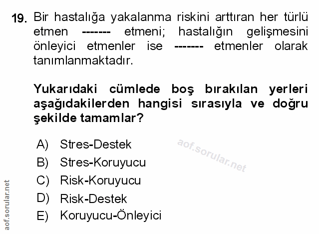 Soru 19