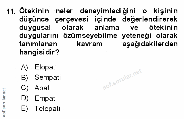 Soru 11