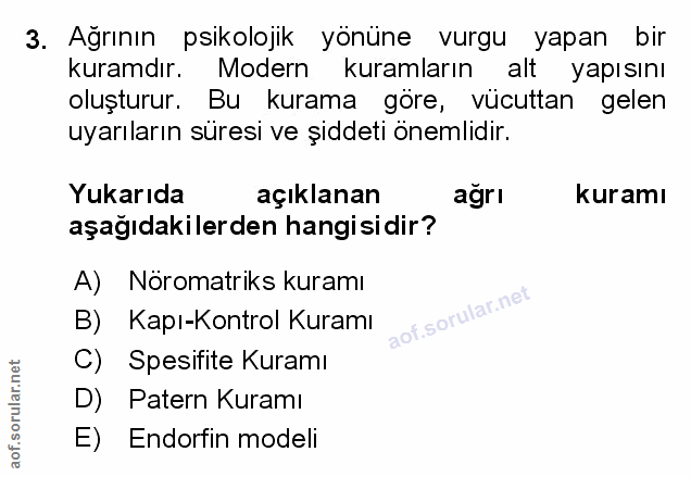 Soru 3