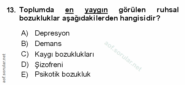 Soru 13
